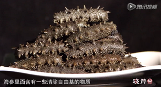孝敬父母，為何首選海參？